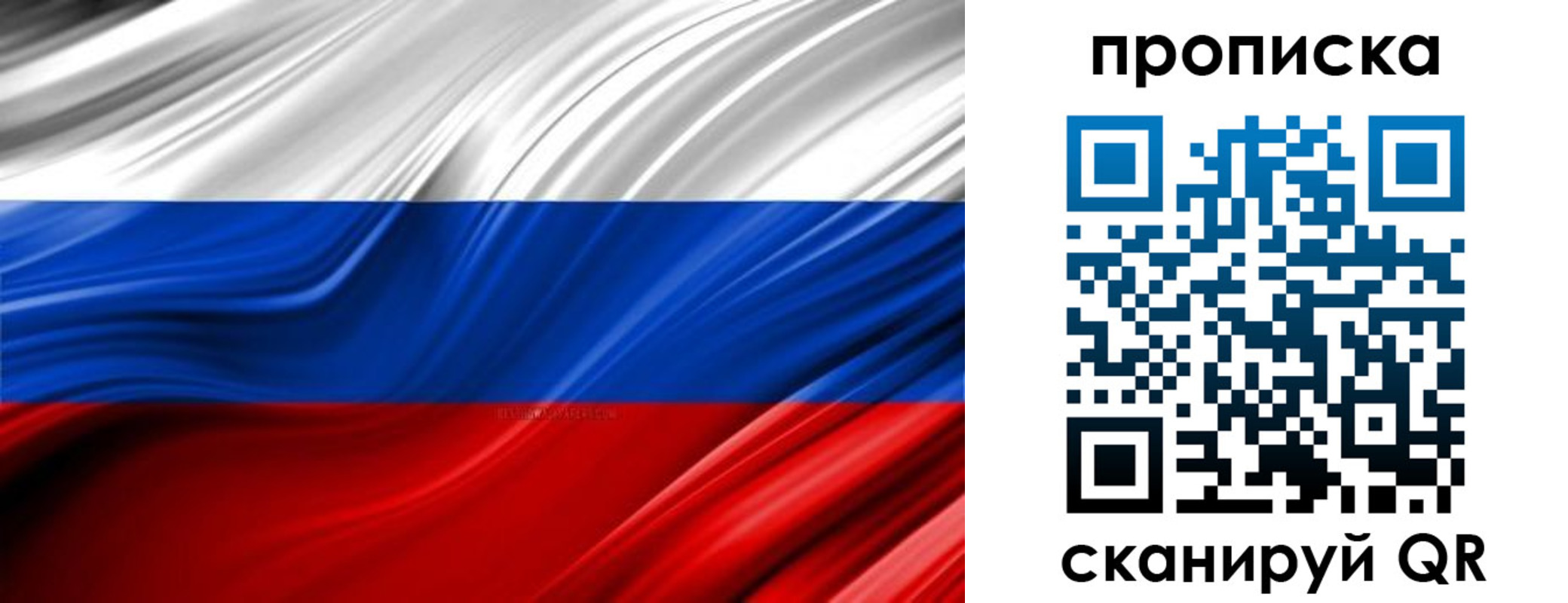 прописка для школы в Димитровграде